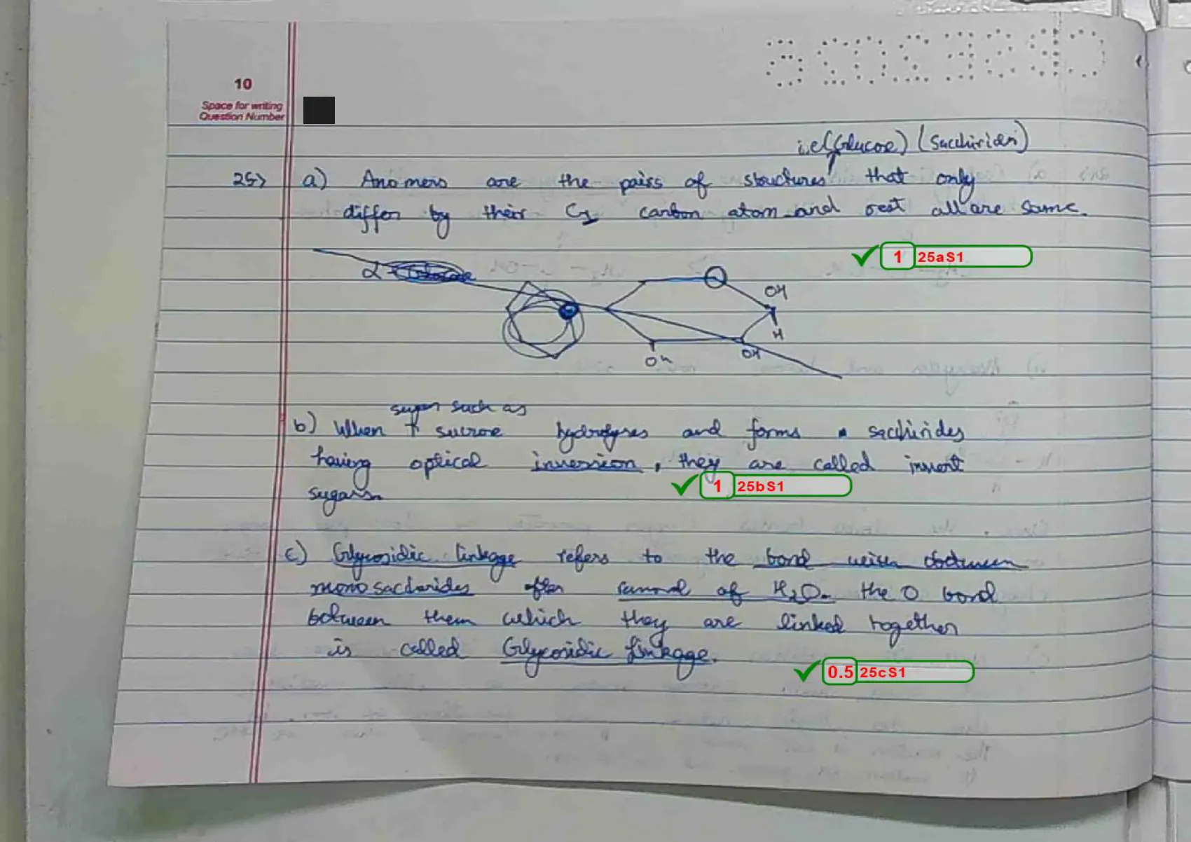 Chemistry answer script page 13, booklet page 10 — Q25 — anomers, invert sugar and glycosidic linkage.