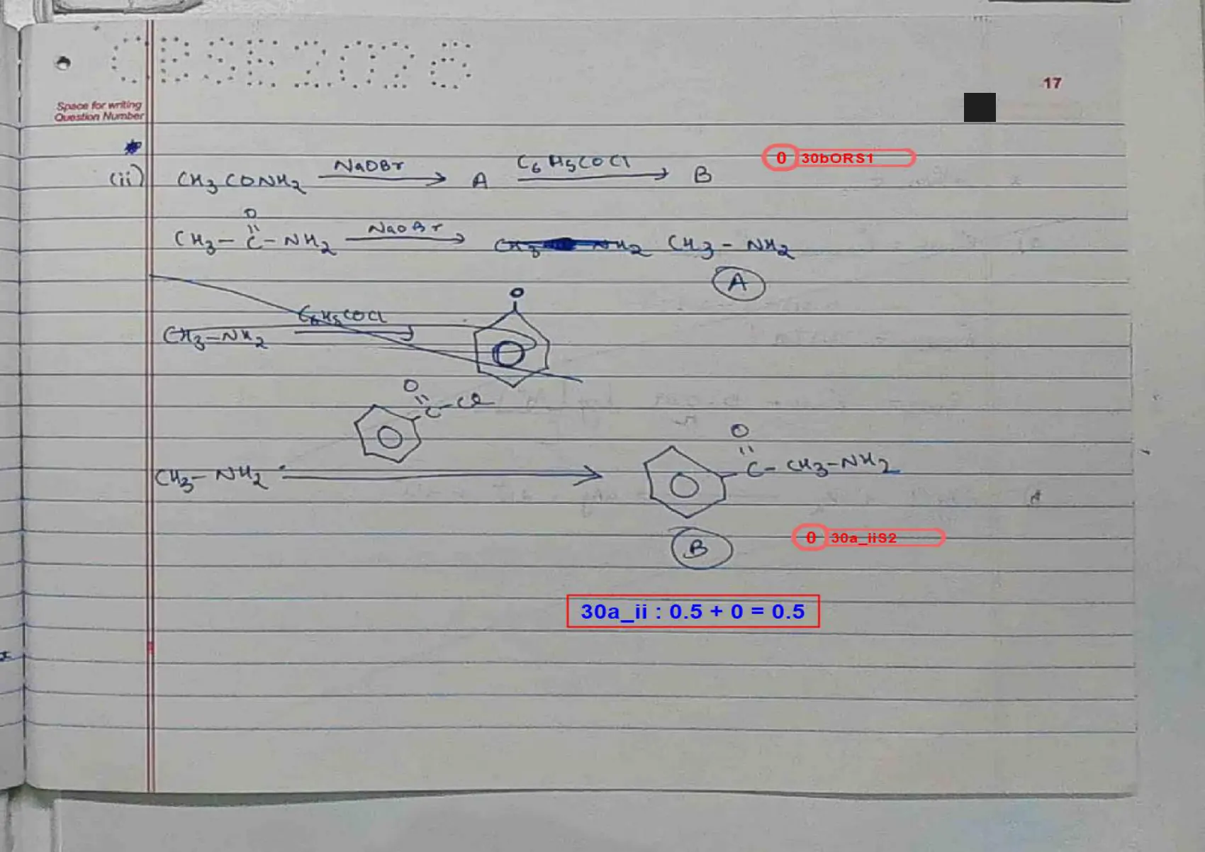 Chemistry answer script page 20, booklet page 17 — Q30a(ii) — the Hofmann degradation chain. Scored 0.5 of 1.